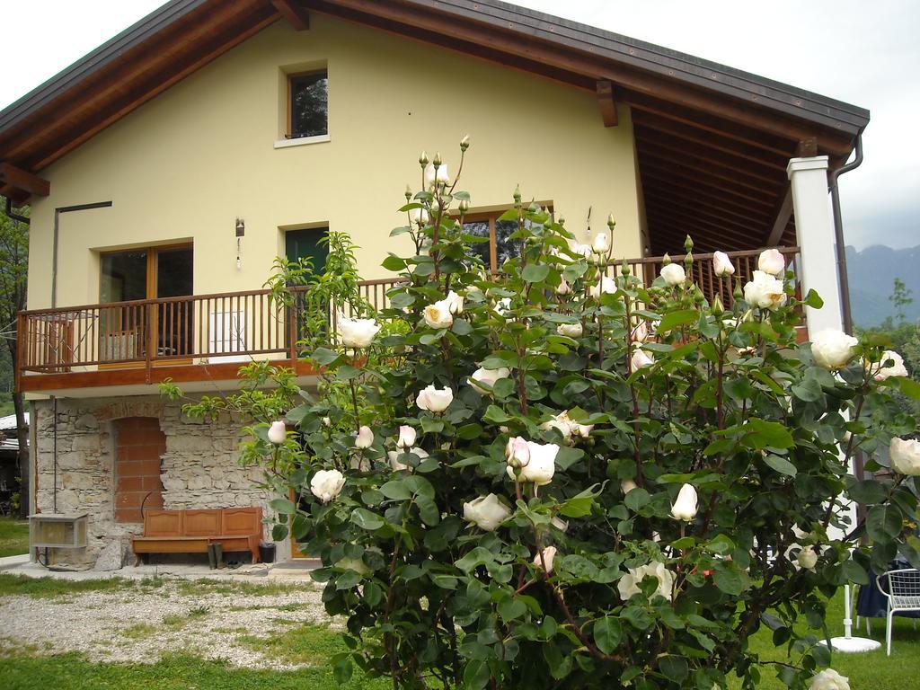 Agriturismo Il Girasole Feltre Exterior photo