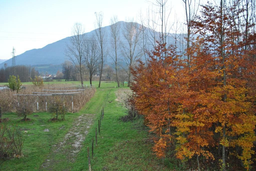 Agriturismo Il Girasole Feltre Exterior photo