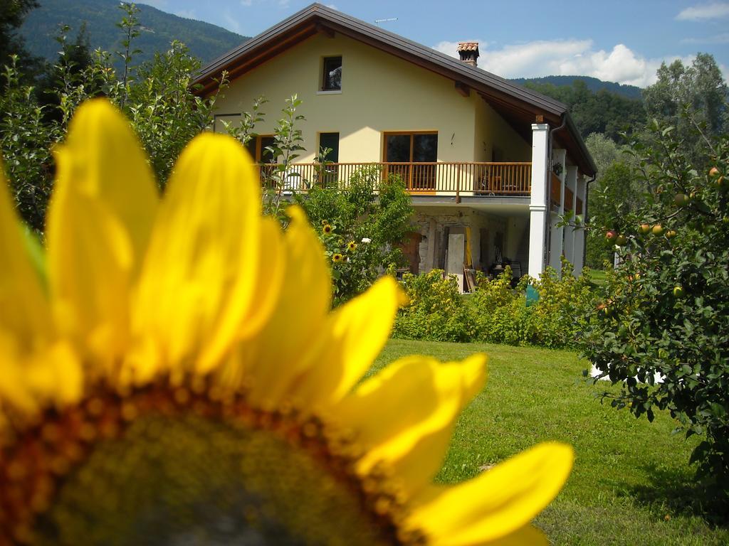 Agriturismo Il Girasole Feltre Exterior photo